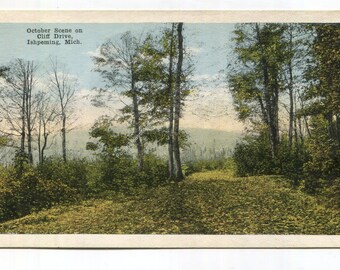 May include: A vintage postcard featuring an October scene on Cliff Drive, Ishpeming, Mich. The image displays a landscape with tall trees, green foliage, and a grassy foreground under a pale sky, with the text printed in the upper left corner.