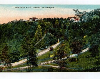 McKinley Park Tacoma Washington Postcard