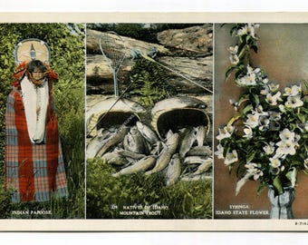 Indian Papoose - Natives of Idaho Mountain Trout - Syringa Idaho State Flower Postcard