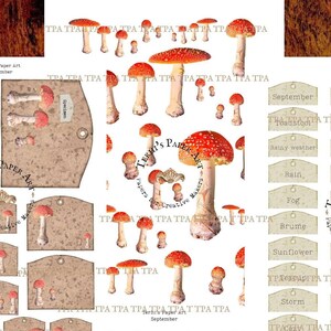 Découpes de champignon vénéneux, étiquettes en forme de champignon et étiquettes verbales pour journaux, agendas, fabrication de cartes, 3 fichiers JPG, A4