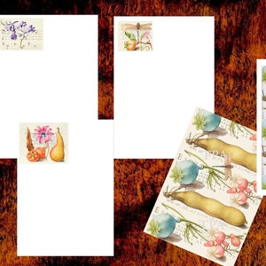 Juego de papel sobre Dragonfly, tamaño carta de EE. UU., documentos de diario digital y fondo para junkjournaling, fabricación de tarjetas, artesanías de papel
