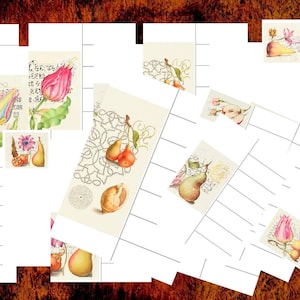 Botanische Planerseiten, digitales Papier set für Kalender, Junkjournal und Kartenherstellung, 12 JPEGs, 11" x 8,5" "Fruit &Tulpe"