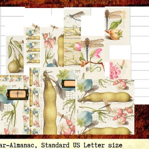 Kit de almanaque floral, calendario semanal, páginas de planificación, US Letter, 15 JPG, any-Year-Almanac, kit de inicio digital