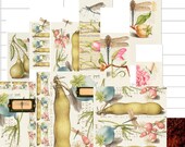 Dragonfly Almanac Kit: US Letter DIY Calendar (Digital Download)