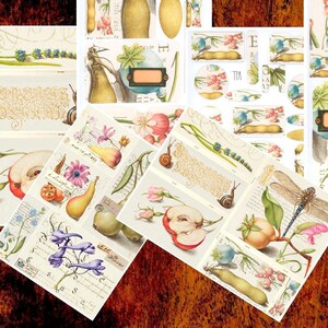 Kit de papier numérique Dragonfly Ephemera pour junkjournaling, scrapbooking, bullet journaux. Fourniture de planificateur et de journal, feuilles d'autocollants, A4, 7 JPEG
