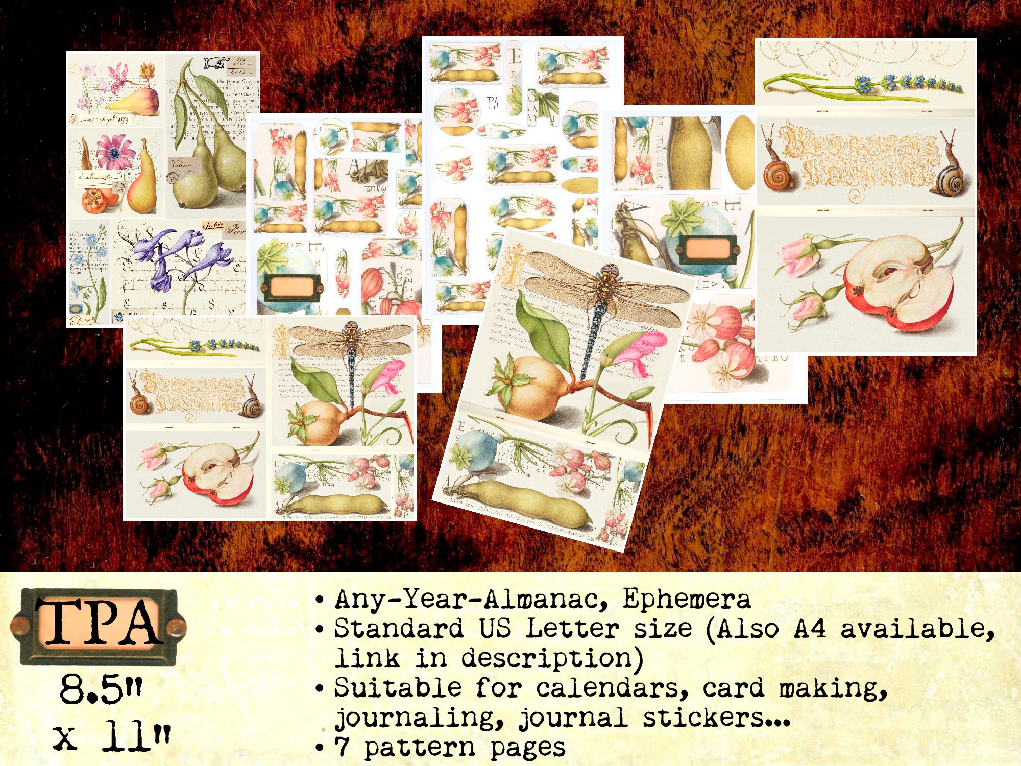 bujo journaling cards journal embellishments tabs Dragonfly digital Ephemera for junkjournas tuck spots tags pockets US Letter size