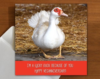 I'm a Lucky Duck | veganniversary | vegan | vegetarian | plant-based
