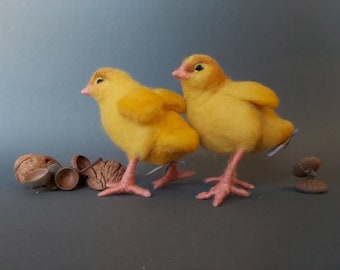 Yolk-yellow Easter chicks go on a journey of discovery, needle-felted in loving pet care