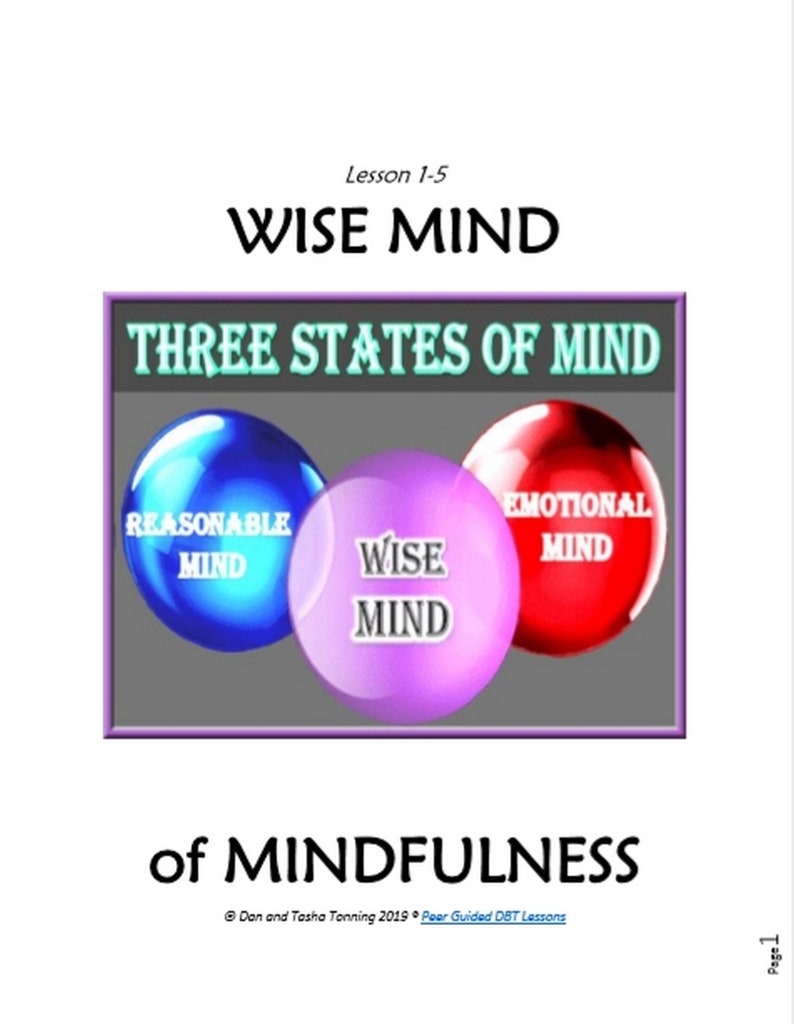 DBT LESSON 1 5 Mindfulness Wise Mind Worksheet And Etsy