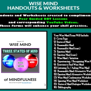 DGT LES 1-5 / Mindfulness Wise Mind / Werkblad en hand-outs (DBT-lessen onder begeleiding)