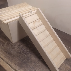 May include: A wooden ramp with a series of steps leading up to a wooden platform. The ramp is made of plywood and has a natural wood finish. The platform is also made of plywood and has a natural wood finish.