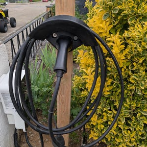Peut inclure: Une borne de recharge pour véhicule électrique noire avec un câble enroulé, montée sur un poteau en bois. La borne est à côté d'un buisson jaune et vert vif. Un boîtier blanc avec du texte est visible à gauche.