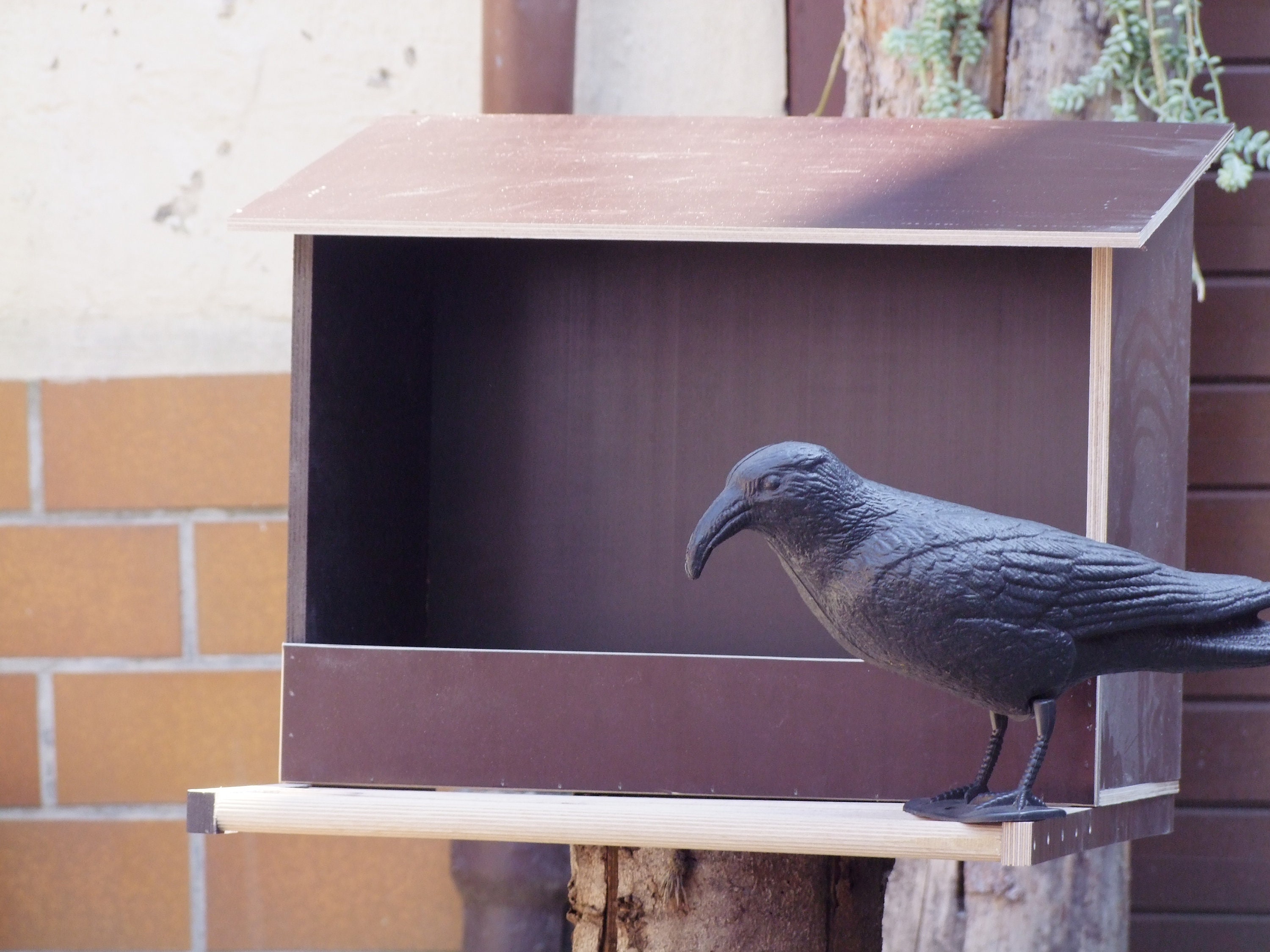 Kestrel Nest box Birds of prey Nest box Falcons Kestrels | Etsy
