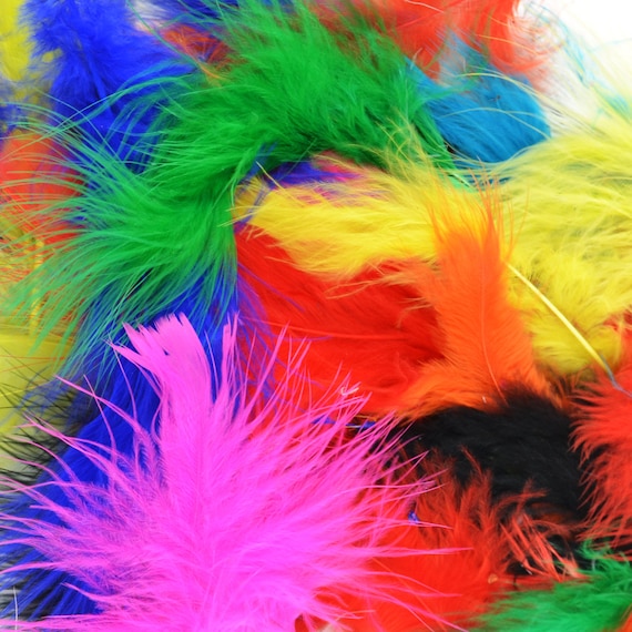 Turkey Feathers Assorted Colors BULK 108 Grams Feathers for Crafts Feather  Projects Bulk Craft Supplies 