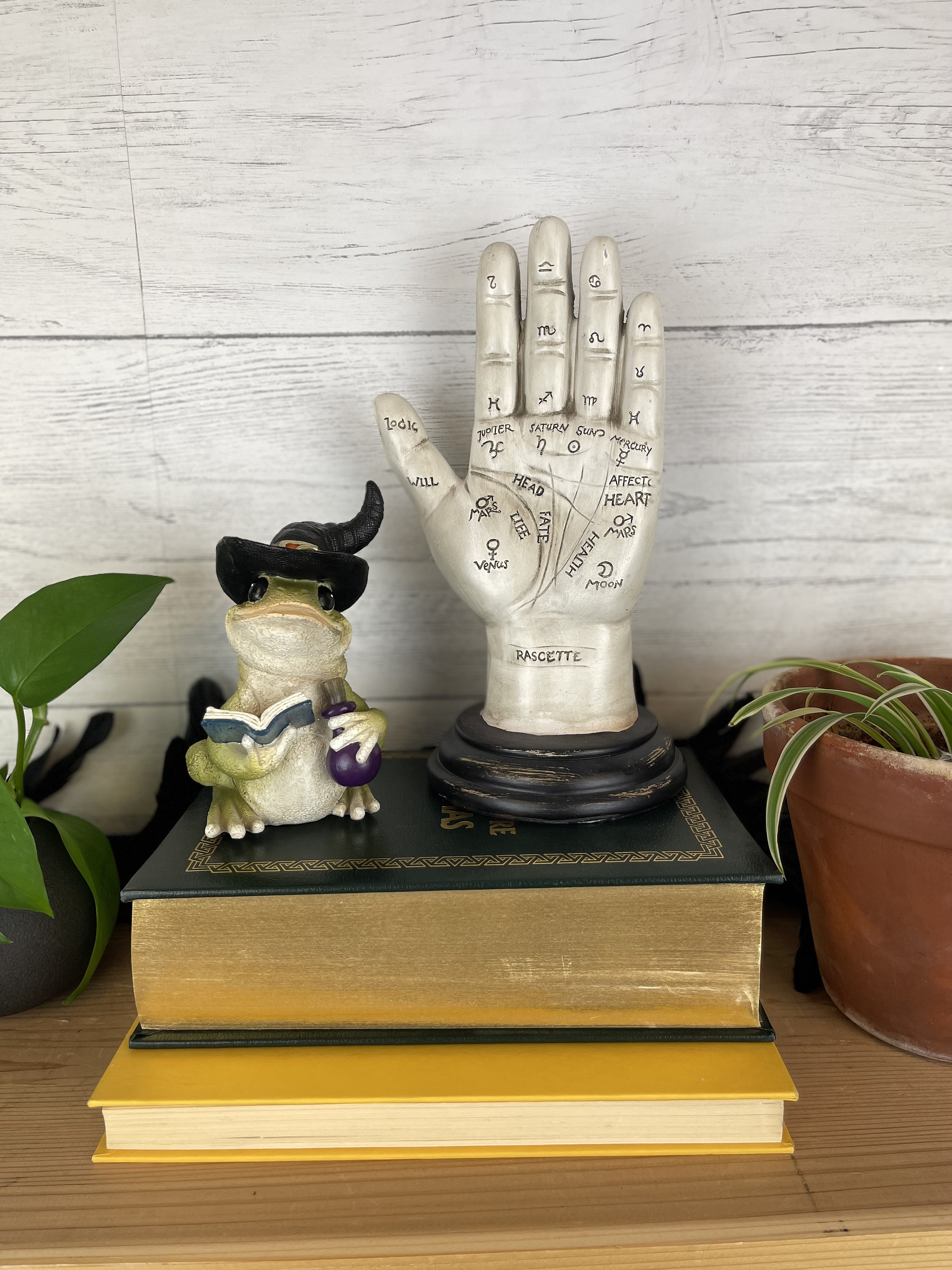 Palmistry Hand Statue Palm Reader Hand Spooky Decor Etsy