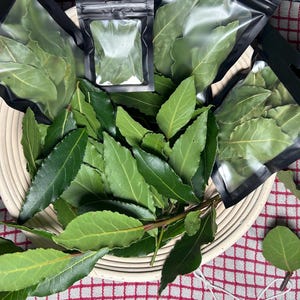 May include: A collection of fresh green bay leaves, some in black plastic packaging, and others in a woven basket. The leaves are a vibrant green, with visible veins. The background is a red and white checked pattern.