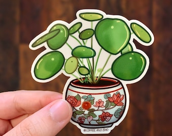 Money Plant - Cute Plant Sticker, Plant Decal, Plant Laptop Sticker, Plant Lover Gift, N103