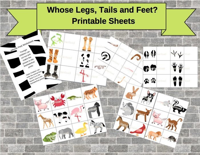 Animal Feet Printable Matching Activity DIGITAL DOWNLOAD // | Etsy