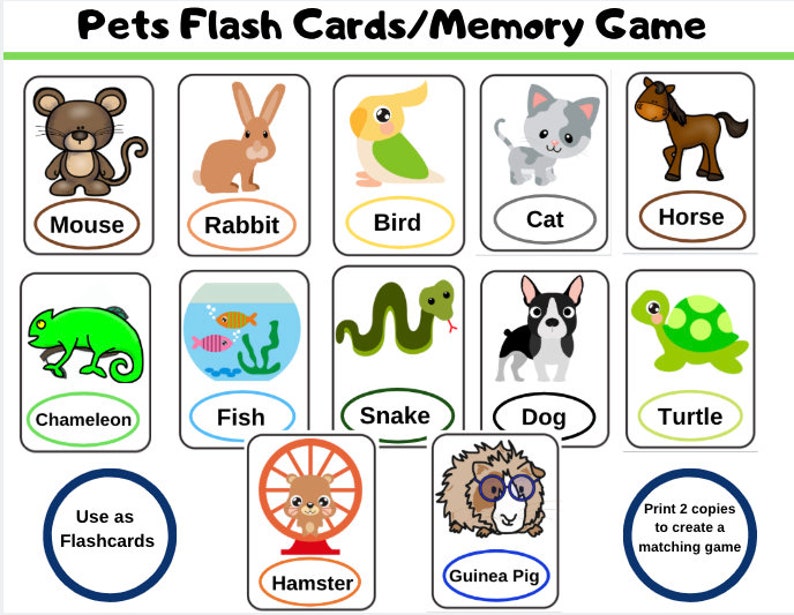 Pets vocabulary. Карточки Pets для детей. Карточки Pets на английском. Тема Pets на английском для детей. Pet animals Vocabulary.