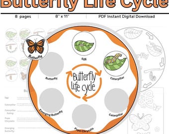 Butterfly Life Cycle Activity Digital Download // Sequencing //Preschool Printable // Homeschool // Storytime // Butterfly Life Cycle