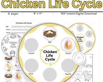 Chicken Life Cycle Activity Digital Download // Sequencing //Preschool Printable // Homeschool // Storytime // Chicken Life Cycle