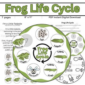 Frosch Lebenszyklus Aktivität Digitaler Download // Reihenfolge der Komponenten // Druckbare Datei // Vorschule // Kinder Geschenk // Märchenstunde