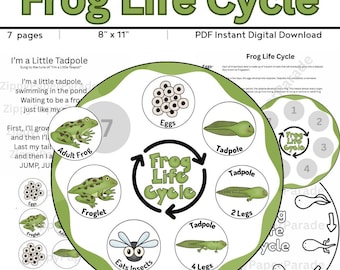 Frog Life Cycle Activity Digital Download // Sequencing //Preschool Printable // Homeschool // Storytime // Frog Life Cycle