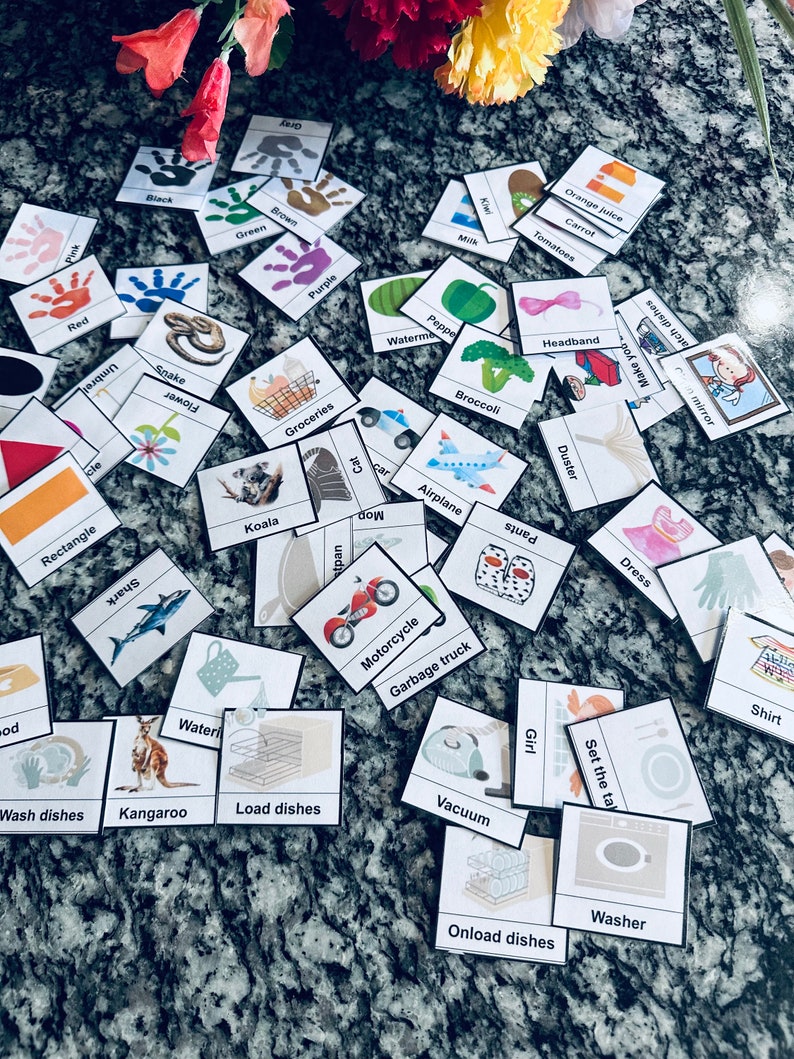 300 Picture Card Communication Speech Therapy Autism Non Verbal Special