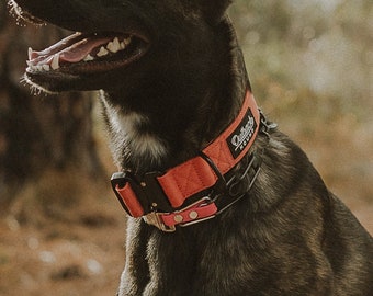 Burnt Orange Premium Dog Collar