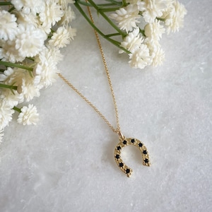 Horseshoe Necklace, Lucky Charm Necklace, Good Luck Jewellery, Horseshoe Gifts, Equestrian Necklace, Horse Lovers, Gifts for Her