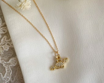May include: A gold chain necklace with a small, sparkling scorpion pendant. The scorpion is made of gold and has clear crystals for eyes.