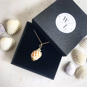 Gold Natural Conch Shell Necklace | Shell Jewellery | Seashell | Conch Shell Jewellery | Layering Necklace | Beach Jewellery | Gifts for Her