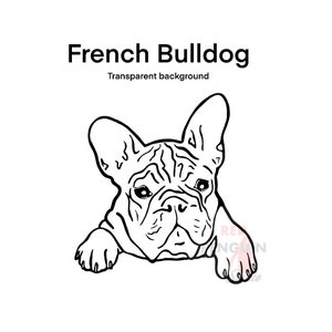 Süße französische Bulldogge Welpen Hund Ahnentafel K9 Clipart Cricut