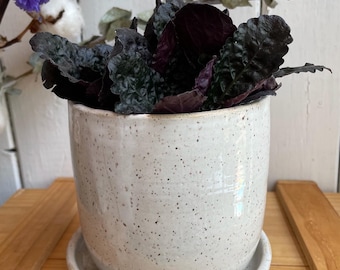 White ceramic planter with a hole and a matching saucer