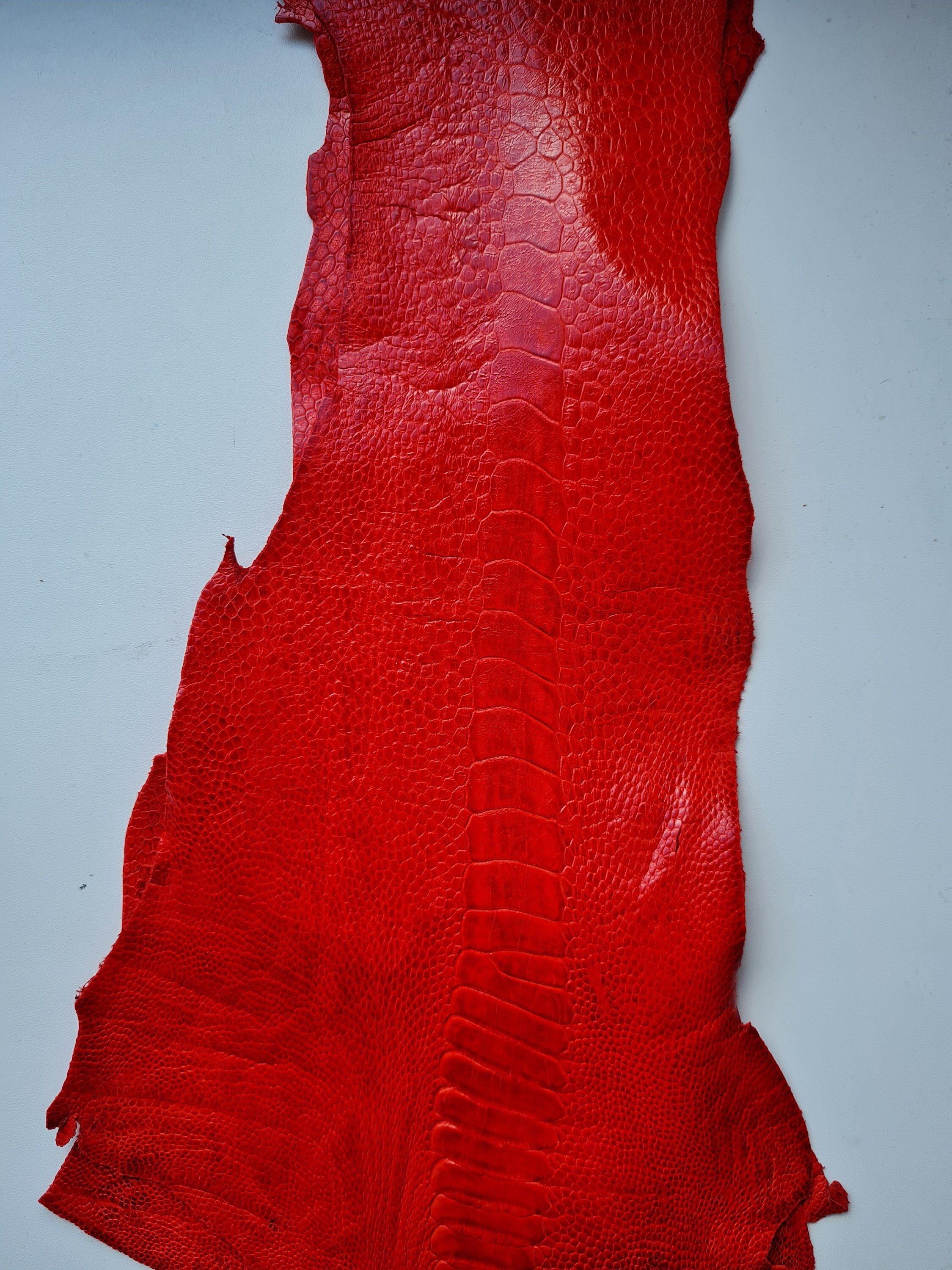 100 genuine ostrich leather ostrich leg skin leather Etsy