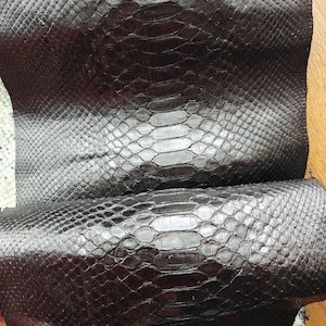 Pelle di serpente autentica (non CITES), pelle di serpente, pelle esotica