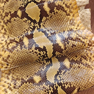 Puede incluir: Primer plano de un trozo de piel de serpiente. La piel de serpiente tiene un patrón de escamas marrones, bronceadas y amarillas. La textura de la piel es áspera y con bultos. La piel de serpiente probablemente se utiliza para la artesanía.
