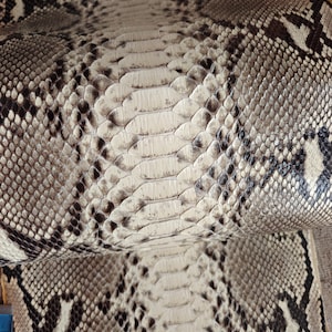 May include: Close-up of a snakeskin pattern. The skin displays a natural color palette of beige, gray, and black. The scales are visible, creating a textured surface. The pattern is intricate and detailed, with variations in color and shape.