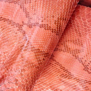 Genuine snake skin (non Cites) snakeskin leather, exotic pelle