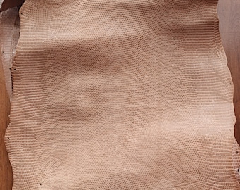 Real lizard skin, Italian genuine iguana leather