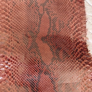 Op de afbeelding: Close-up van een stuk roodbruine slangenleer. Het slangenleer heeft een schubbenpatroon met donkerbruine en zwarte markeringen. De textuur van het slangenleer is zichtbaar, waarbij elke schub iets verhoogd is. Het slangenleer wordt waarschijnlijk gebruikt voor het knutselen.