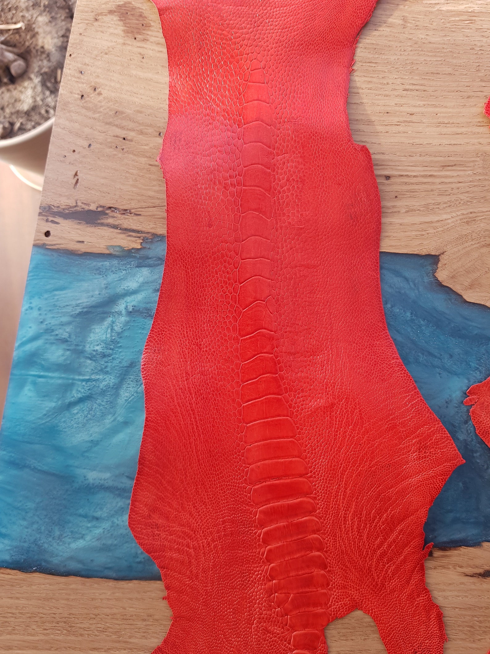 100% genuino avestruz piel de avestruz pierna piel piel | Etsy