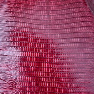 Real lizard skin, Italian genuine iguana leather