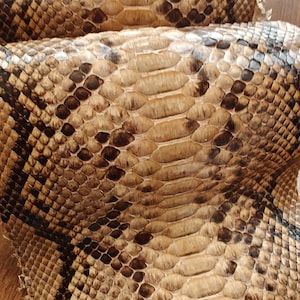 本物のヘビ革（非CITES）ヘビ革、エキゾチックペレ