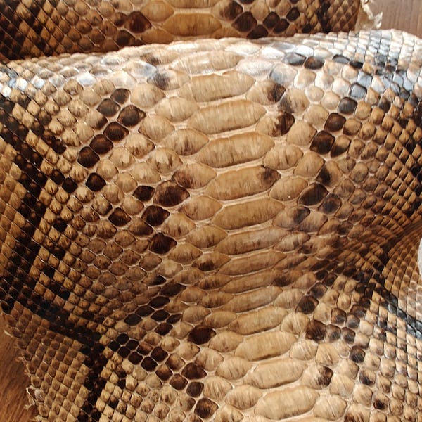 Genuine snake skin (non Cites) snakeskin leather, exotic pelle