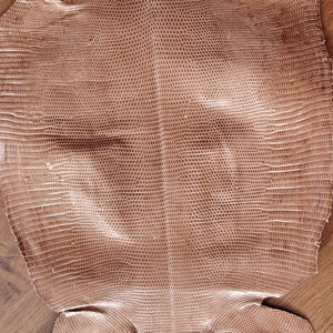 Real lizard skin, Italian genuine iguana leather