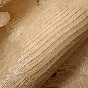 Real lizard skin, Italian genuine iguana leather