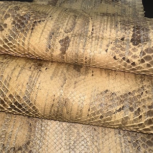 Genuine snake skin (non Cites) snakeskin leather, exotic pelle