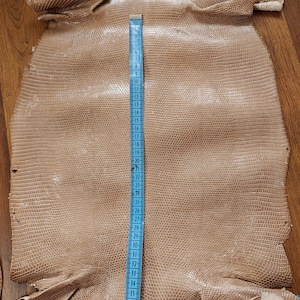 Real lizard skin, Italian genuine iguana leather, exotic leather, super price!