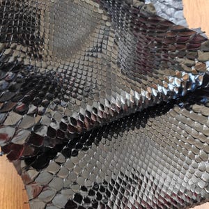 Echtes Schlangenleder Haut Schlangenleder, Exotisches Leder, exotisches Pelle
